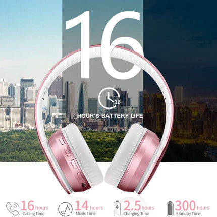 Bluetooth 5.3 Wireless Headphones Over Ear Foldable Stereo Mic LOBKIN